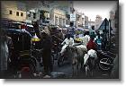 Bikaner autre rue * 650 x 434 * (85KB)